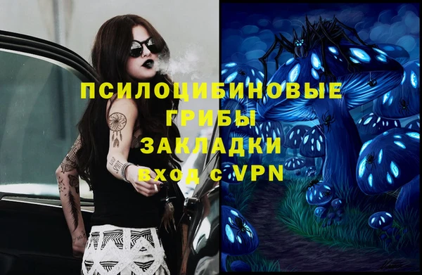 a pvp Алексеевка