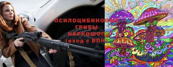 твердый Абаза