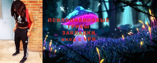 твердый Абаза